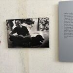 微信图片_20260327112304_12_2